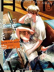 纸页与猫 封面